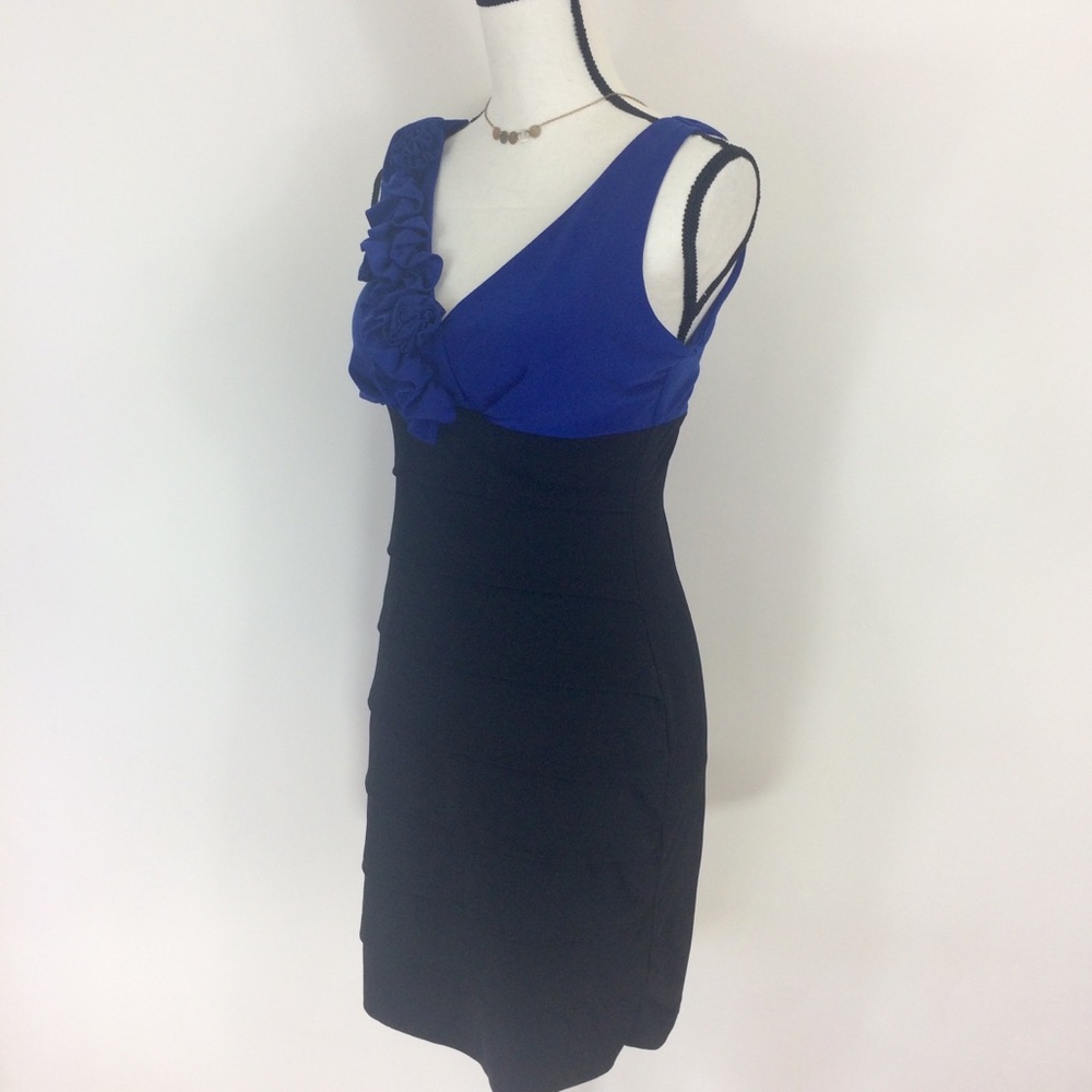 Enfocus Studio Blue Rose Dress 4 - Picture 2 of 5